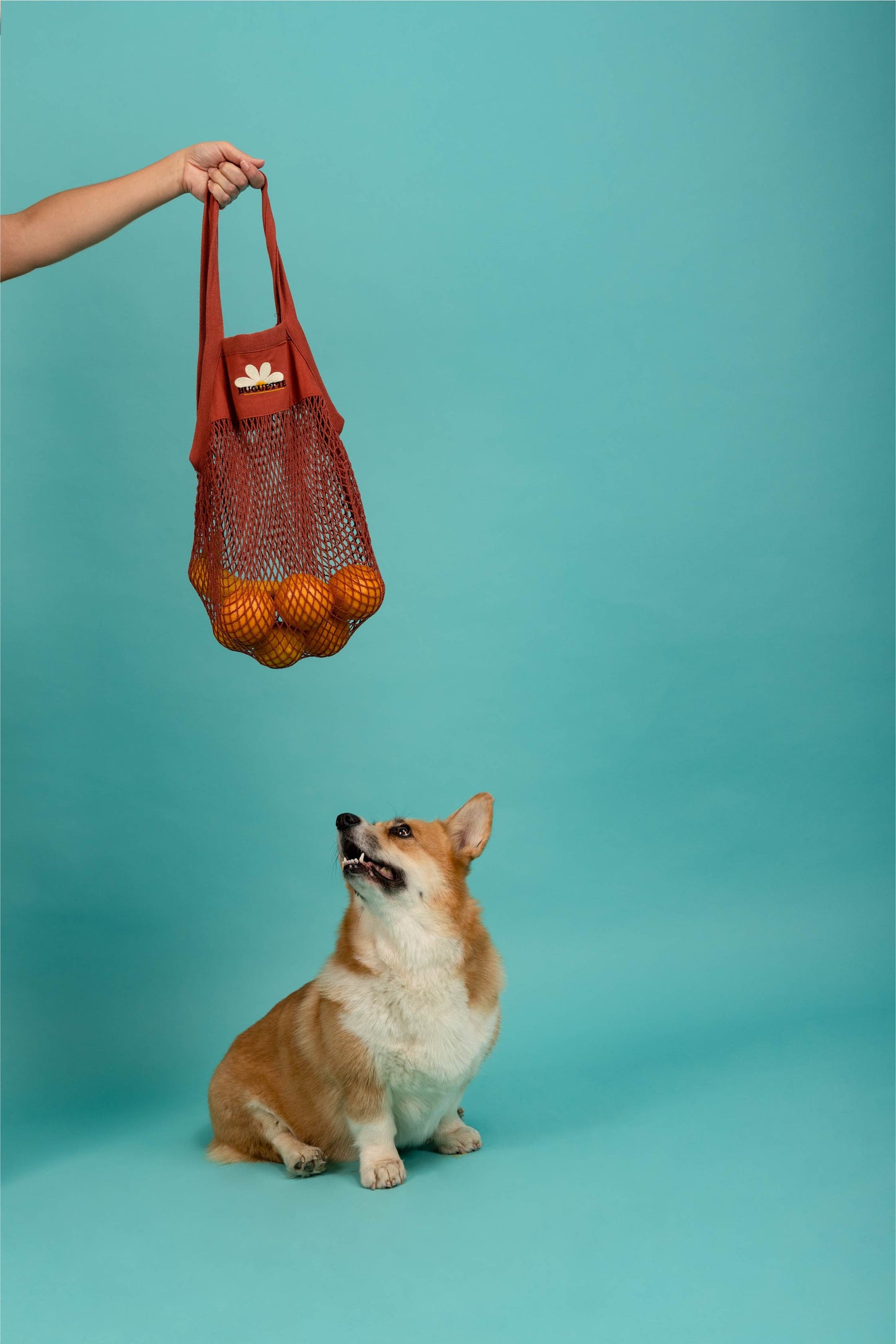Brick mesh bag
